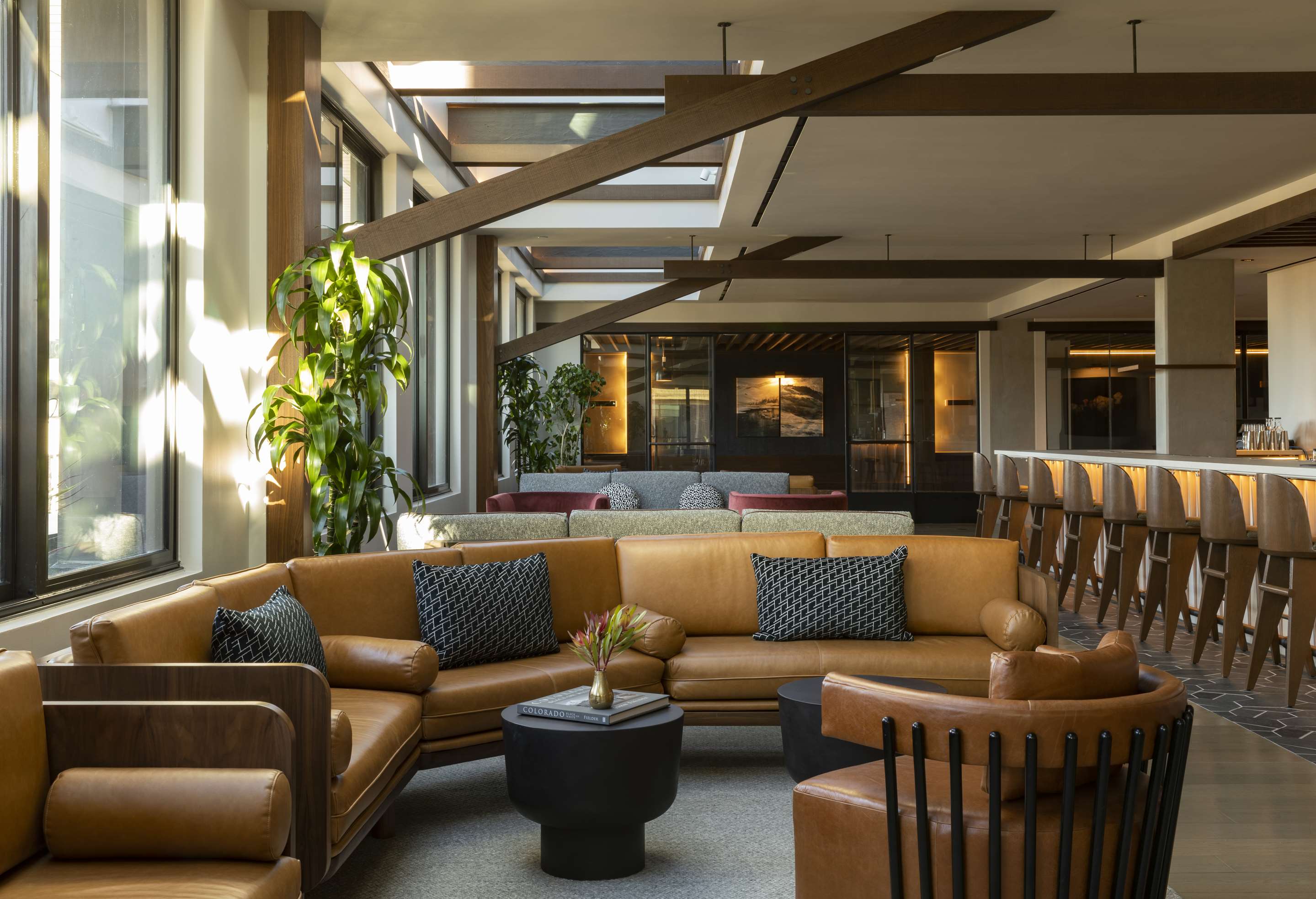 Restaurant | Thompson Denver, by Hyatt