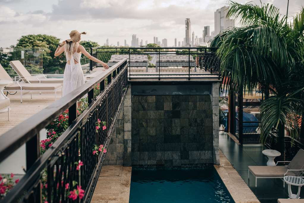 Guest photo