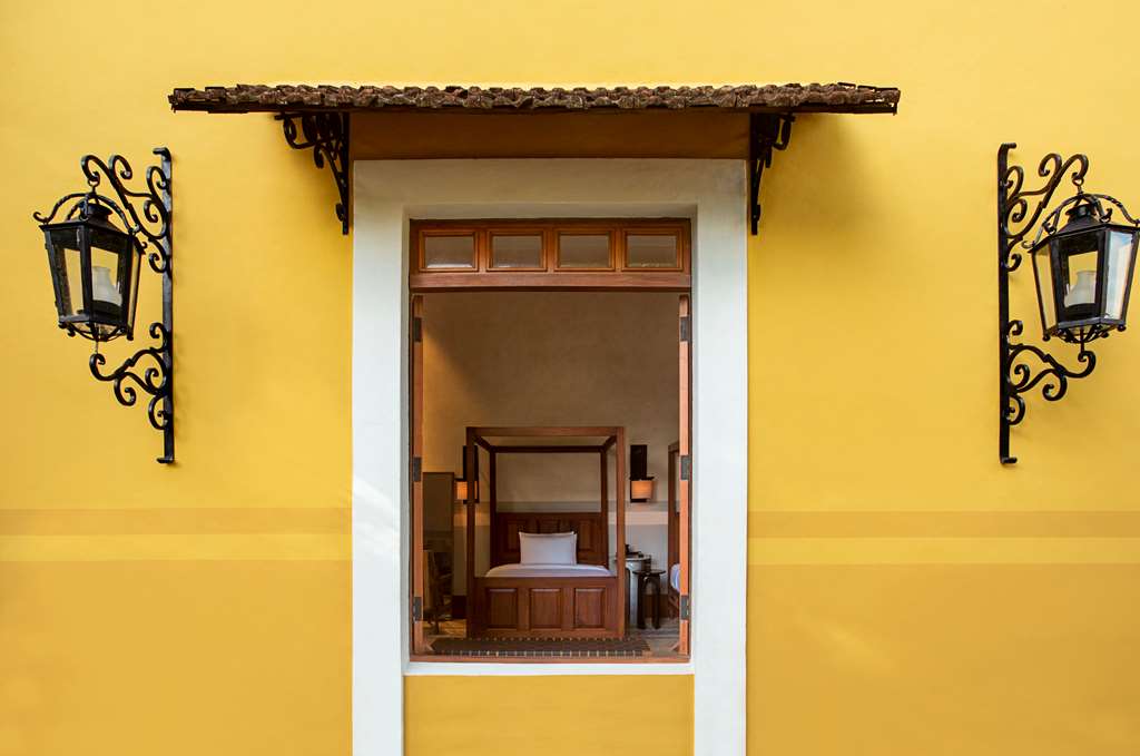 Guest photo