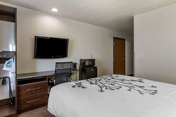  - Sleep Inn & Suites Kalamazoo - I-94, Exit 72