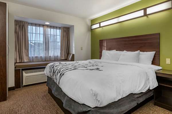 Suite - Sleep Inn & Suites Kalamazoo - I-94, Exit 72
