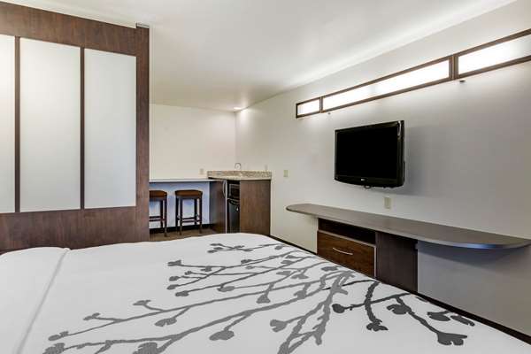 Suite - Sleep Inn & Suites Kalamazoo - I-94, Exit 72