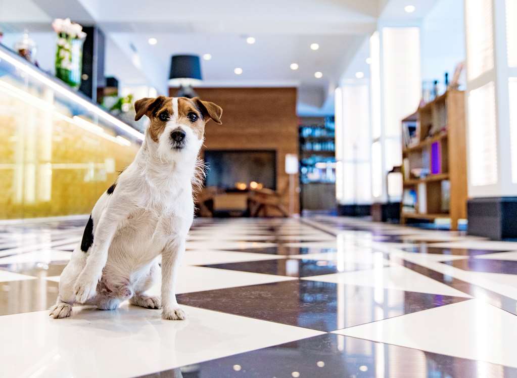 Guest photo