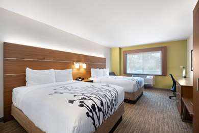 Guest Room,On-Site