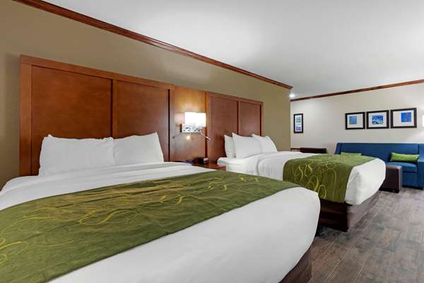 Suite - Comfort Suites West Monroe - I-20, Exit 112