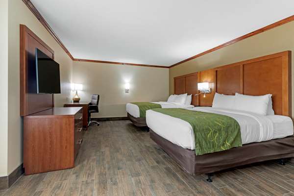 Suite - Comfort Suites West Monroe - I-20, Exit 112
