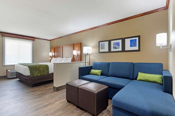 Suite - Comfort Suites West Monroe - I-20, Exit 112