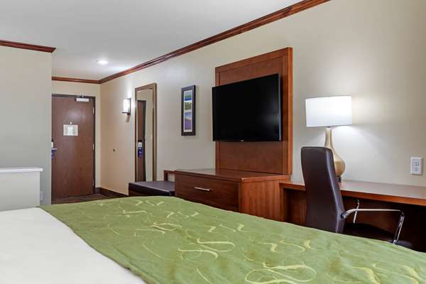 Suite - Comfort Suites West Monroe - I-20, Exit 112