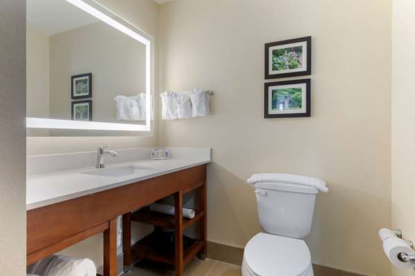 Suite - Comfort Suites West Monroe - I-20, Exit 112