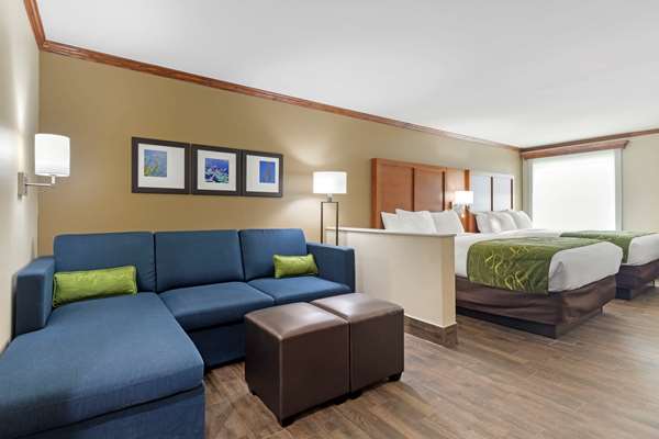 Suite - Comfort Suites West Monroe - I-20, Exit 112