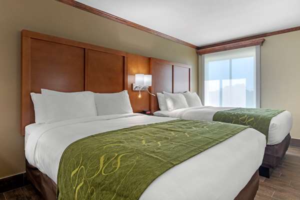 Suite - Comfort Suites West Monroe - I-20, Exit 112