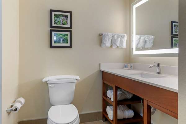 Suite - Comfort Suites West Monroe - I-20, Exit 112