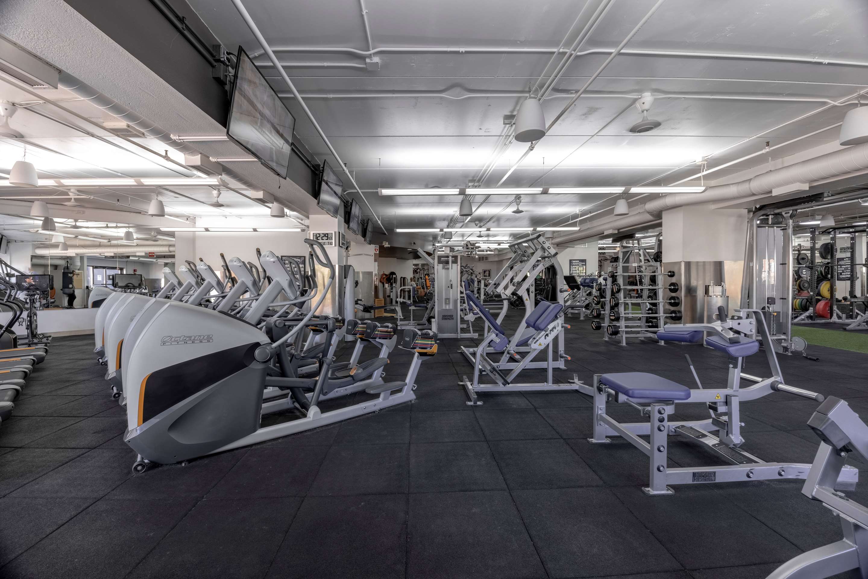 Health club fitness center gym
