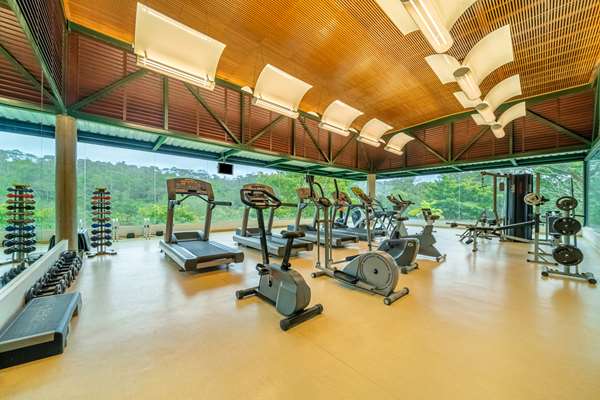 Almenat Embu das Artes, Tapestry Collection by Hilton