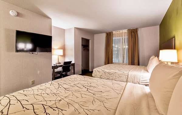Suite - SureStay Plus Hotel by Best Western SeaTac