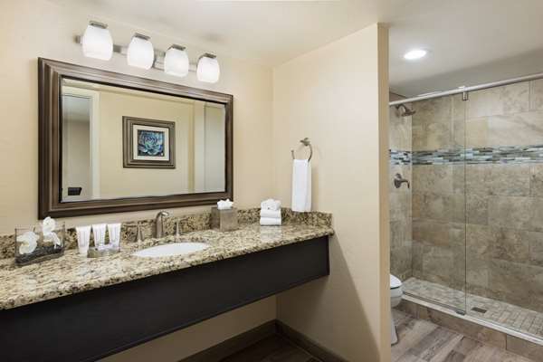 Suite - Scottsdale Plaza Resort