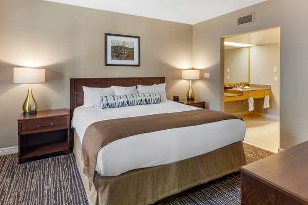 Suite - Carriage Ridge Resort Shanty Bay