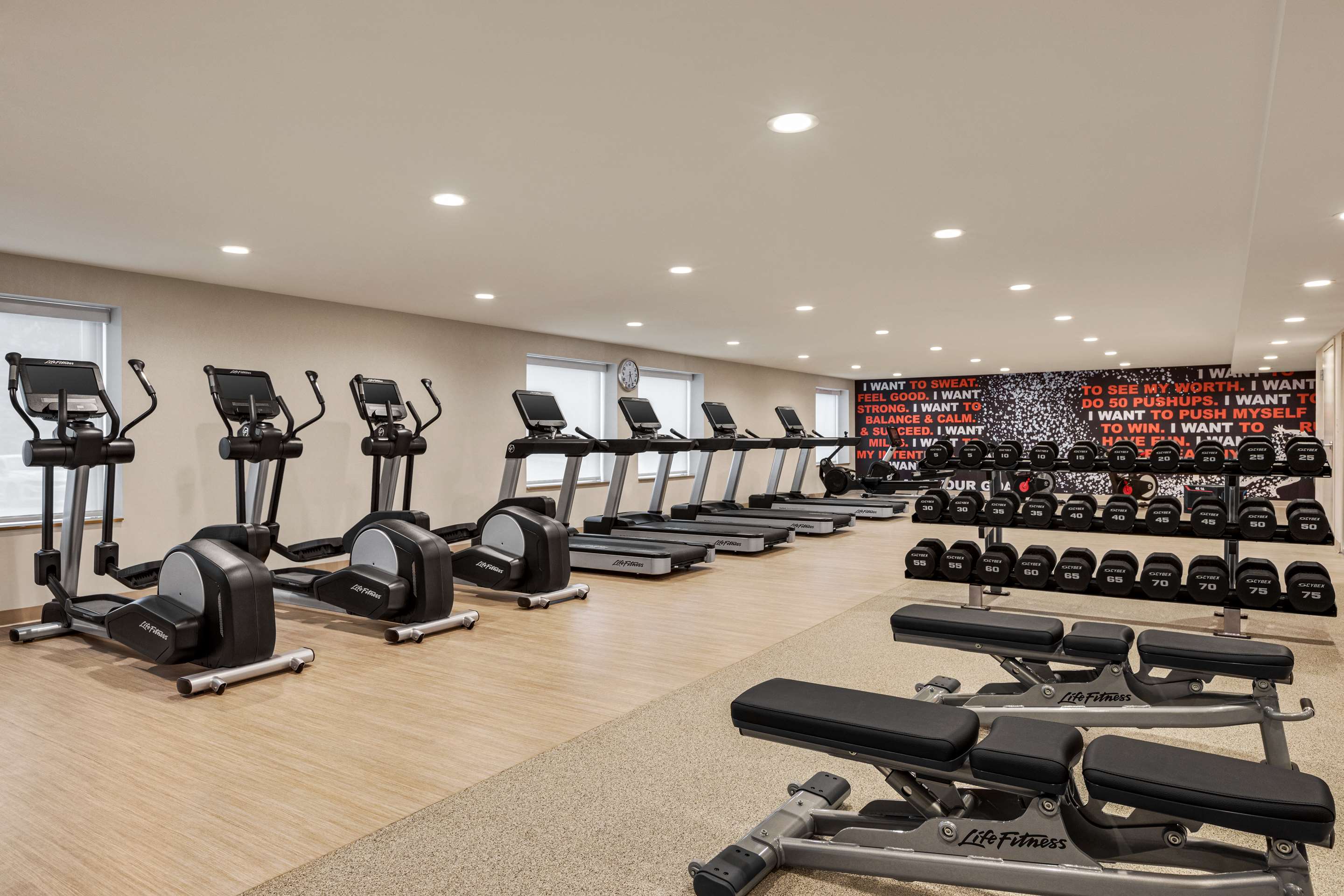 Health club fitness center gym