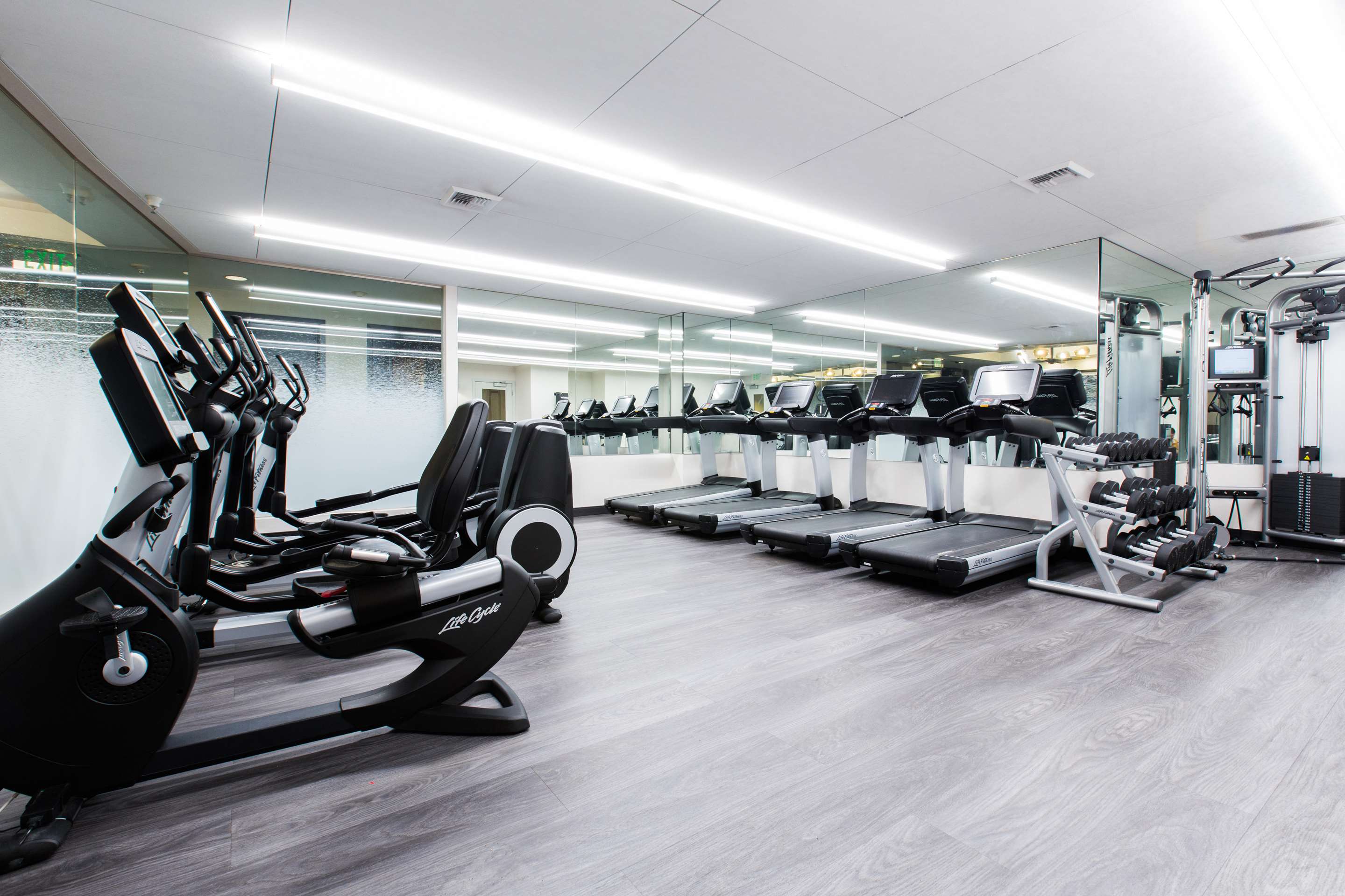 Health club fitness center gym