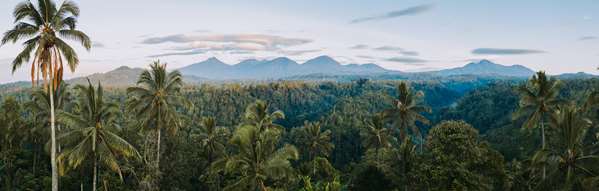 BUAHAN A BANYAN TREE ESCAPE - Photo 6