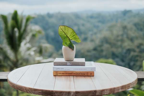 BUAHAN A BANYAN TREE ESCAPE - Photo 31