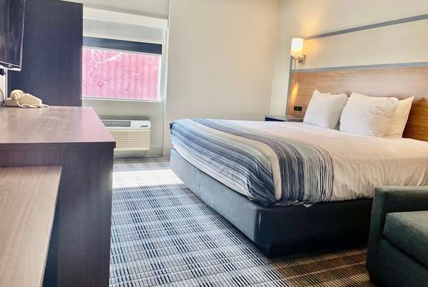 1 King Bed Mobility Accessible Room, Roll-In Shower, Non-Smoking