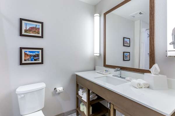 Suite - Comfort Suites Talking Stick District Scottsdale