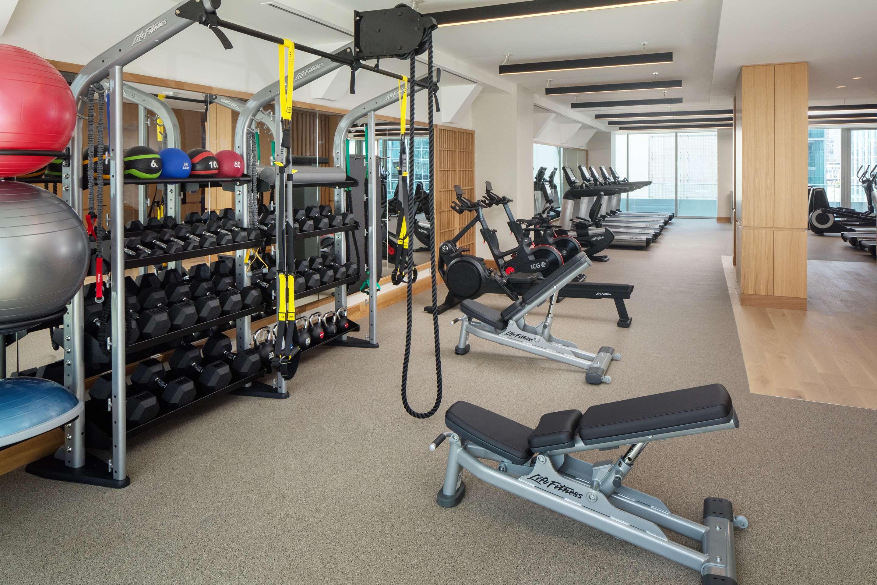 Health club fitness center gym
