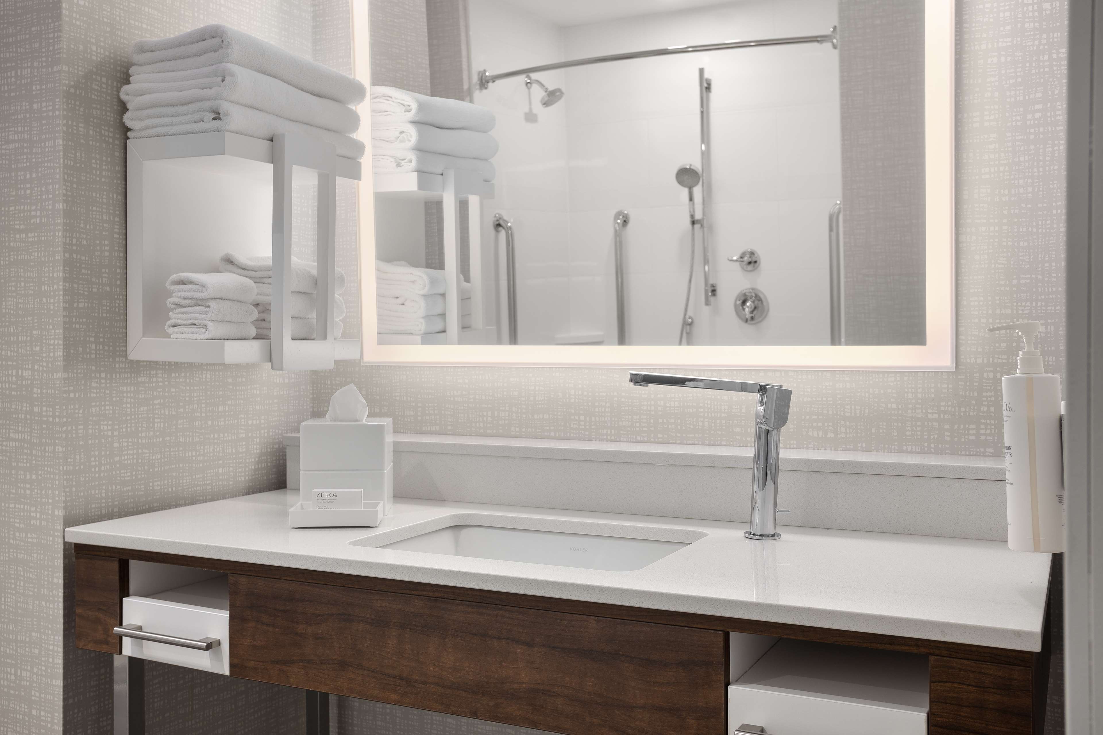 Hampton Inn by Hilton Kingston Room Type - 1 KING SFBD MIC FRG NS