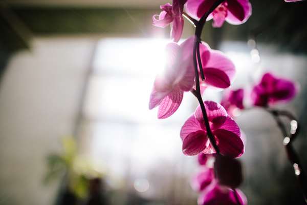  - Colcord Hotel Central Oklahoma City