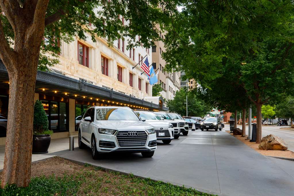 Guest photo