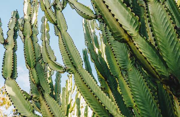 Exterior view - Estancia La Jolla Hotel & Spa