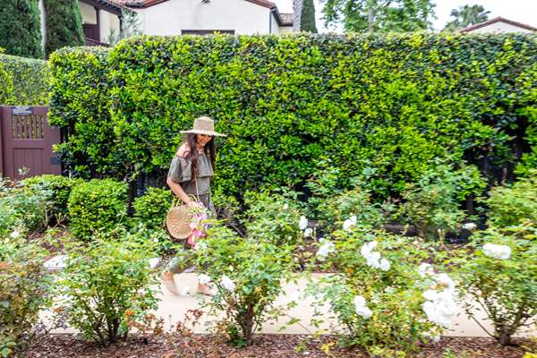 Exterior view - Estancia La Jolla Hotel & Spa