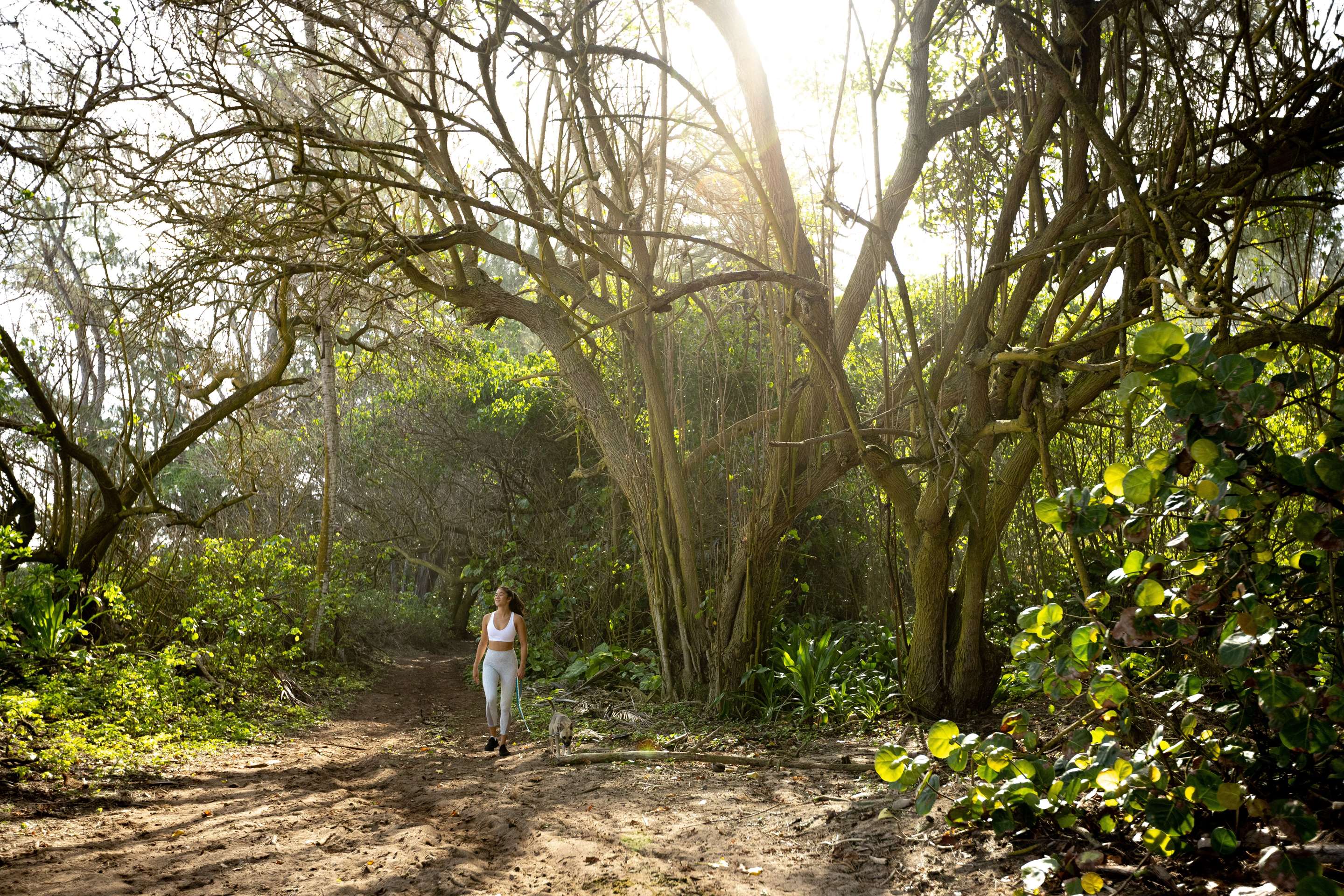 Hiking Trails | The Ritz-Carlton O‘ahu, Turtle Bay
