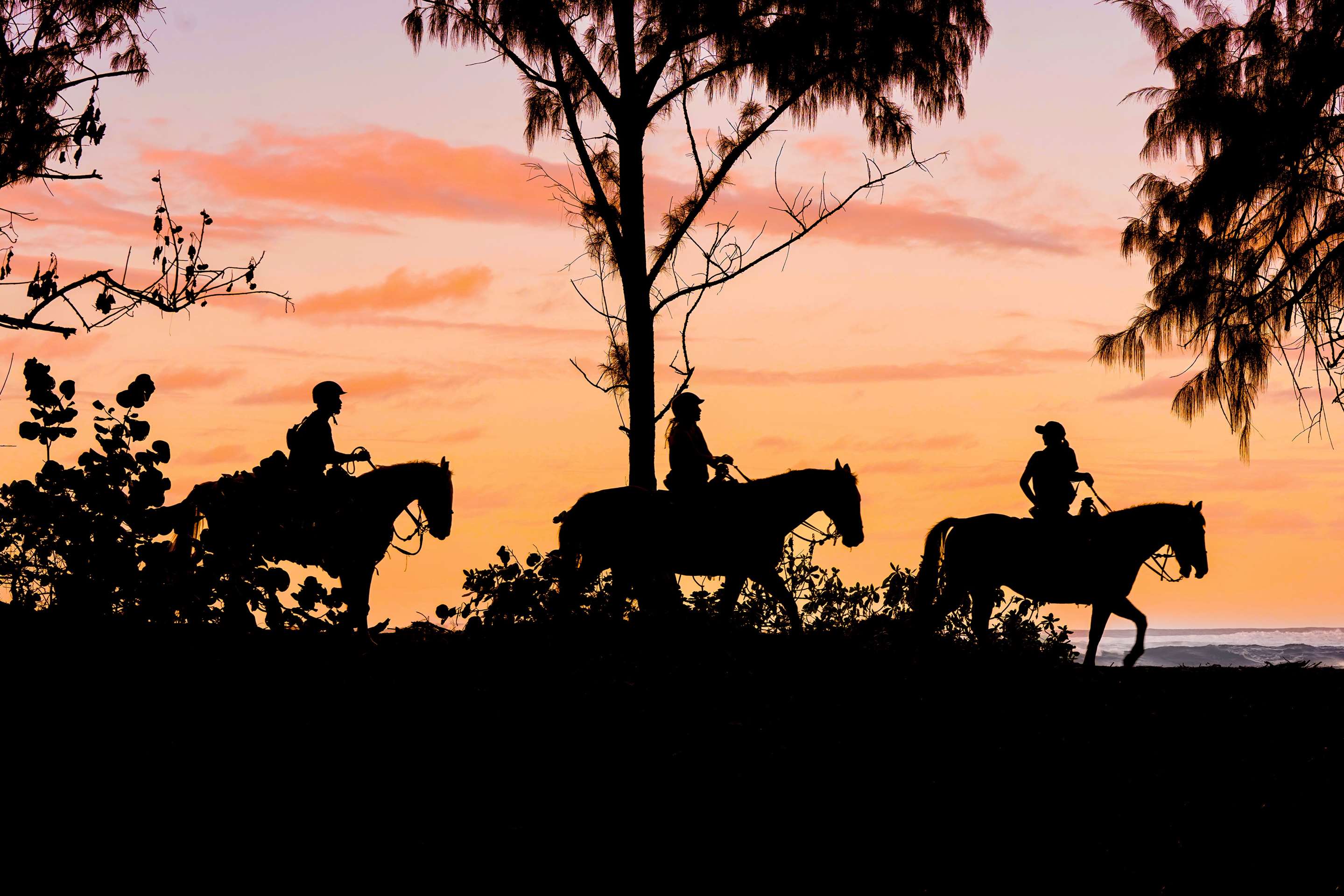 Sunset Horseback Ride | The Ritz-Carlton O‘ahu, Turtle Bay