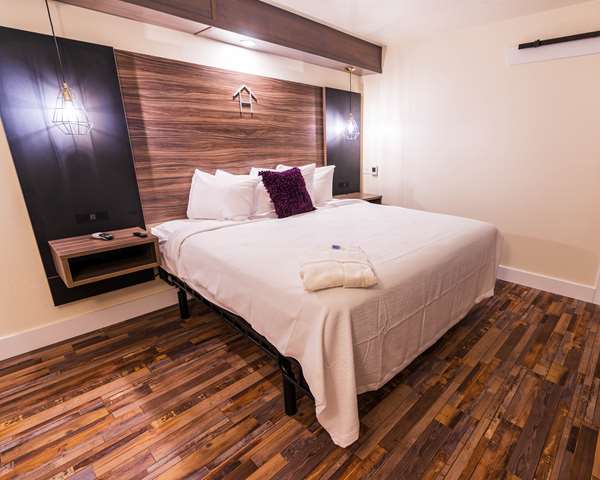  - Hotel on Monroe Rochester - I-590, Exit 2