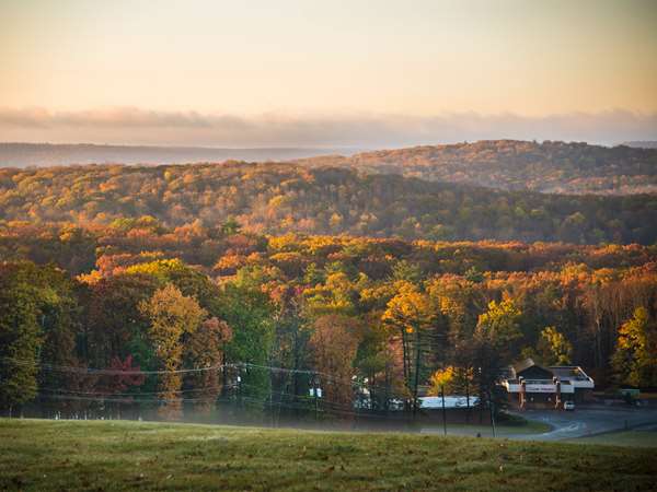 Exterior view - Cove Haven Resort Lakeville