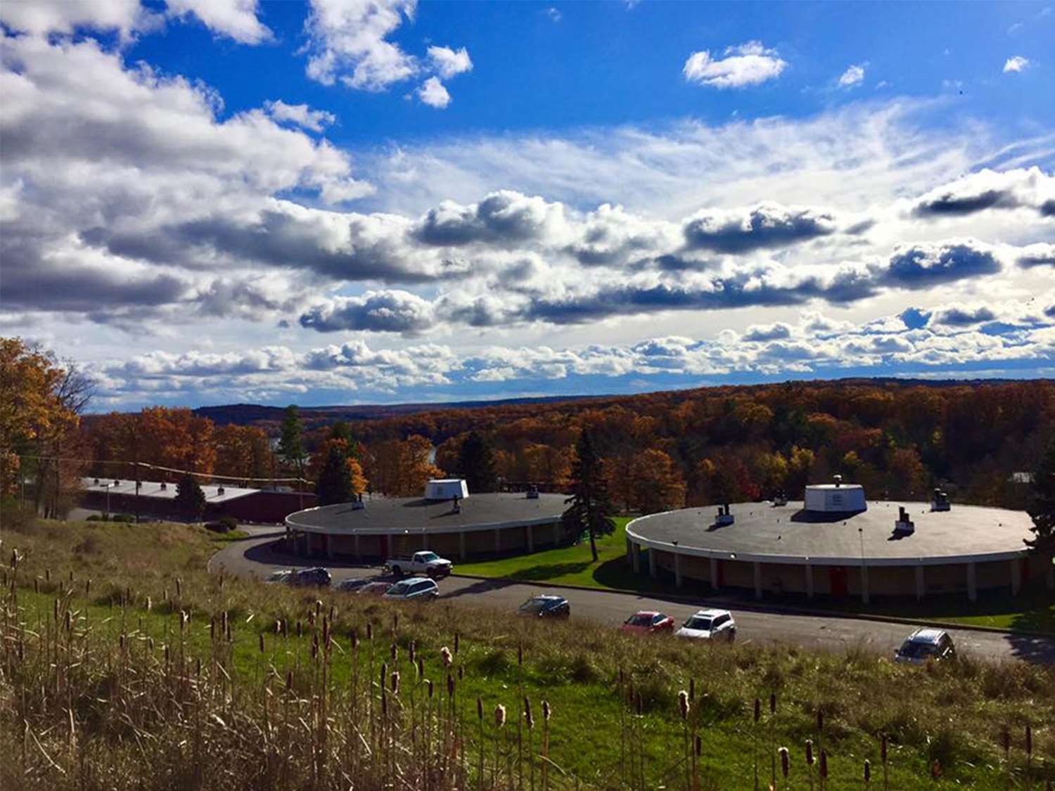 Cove Haven Resort Lakeville, PA See Discounts