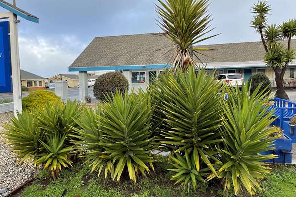Exterior view - Baymont Inn & Suites Fort Bragg