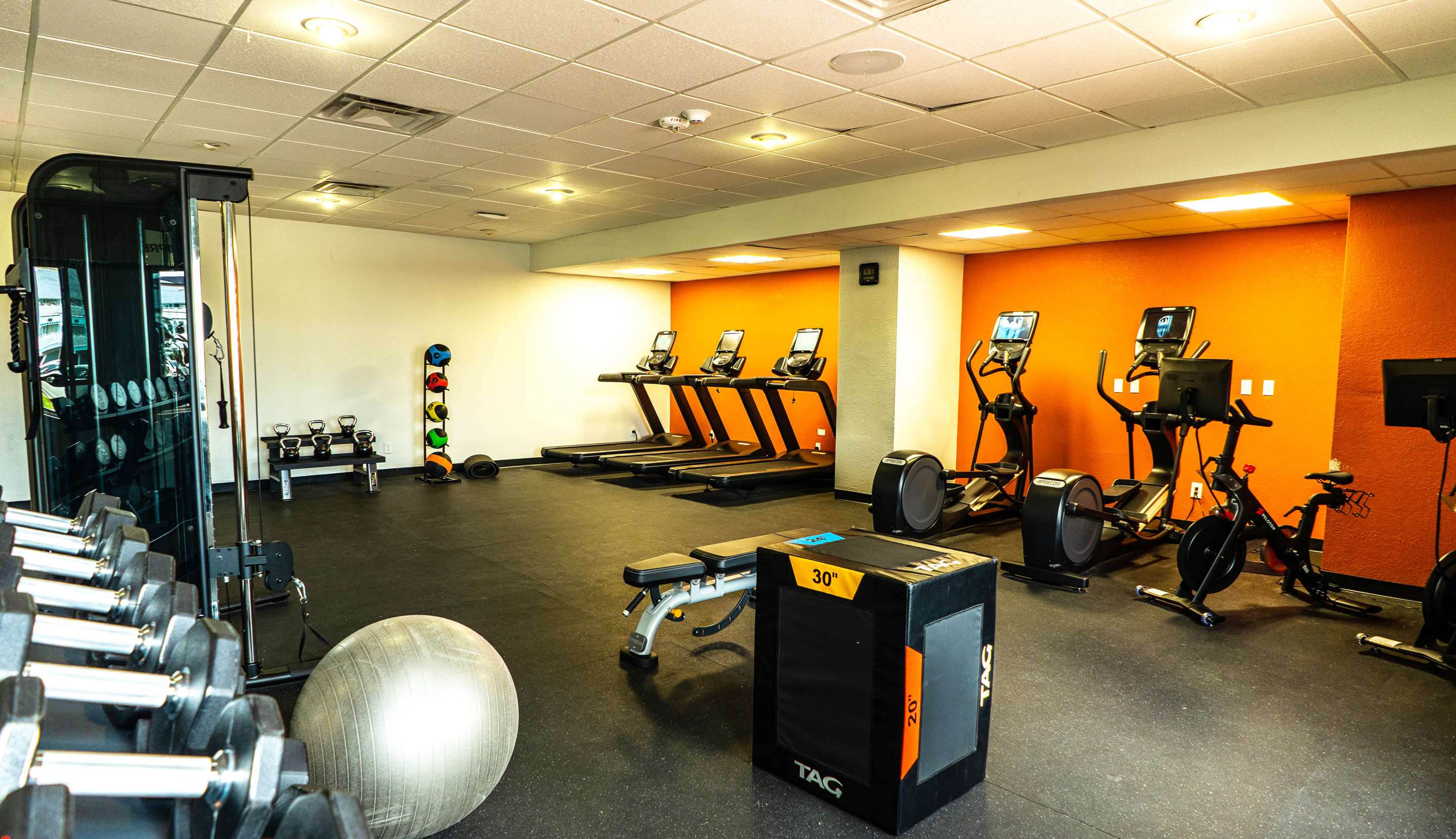 Health club fitness center gym