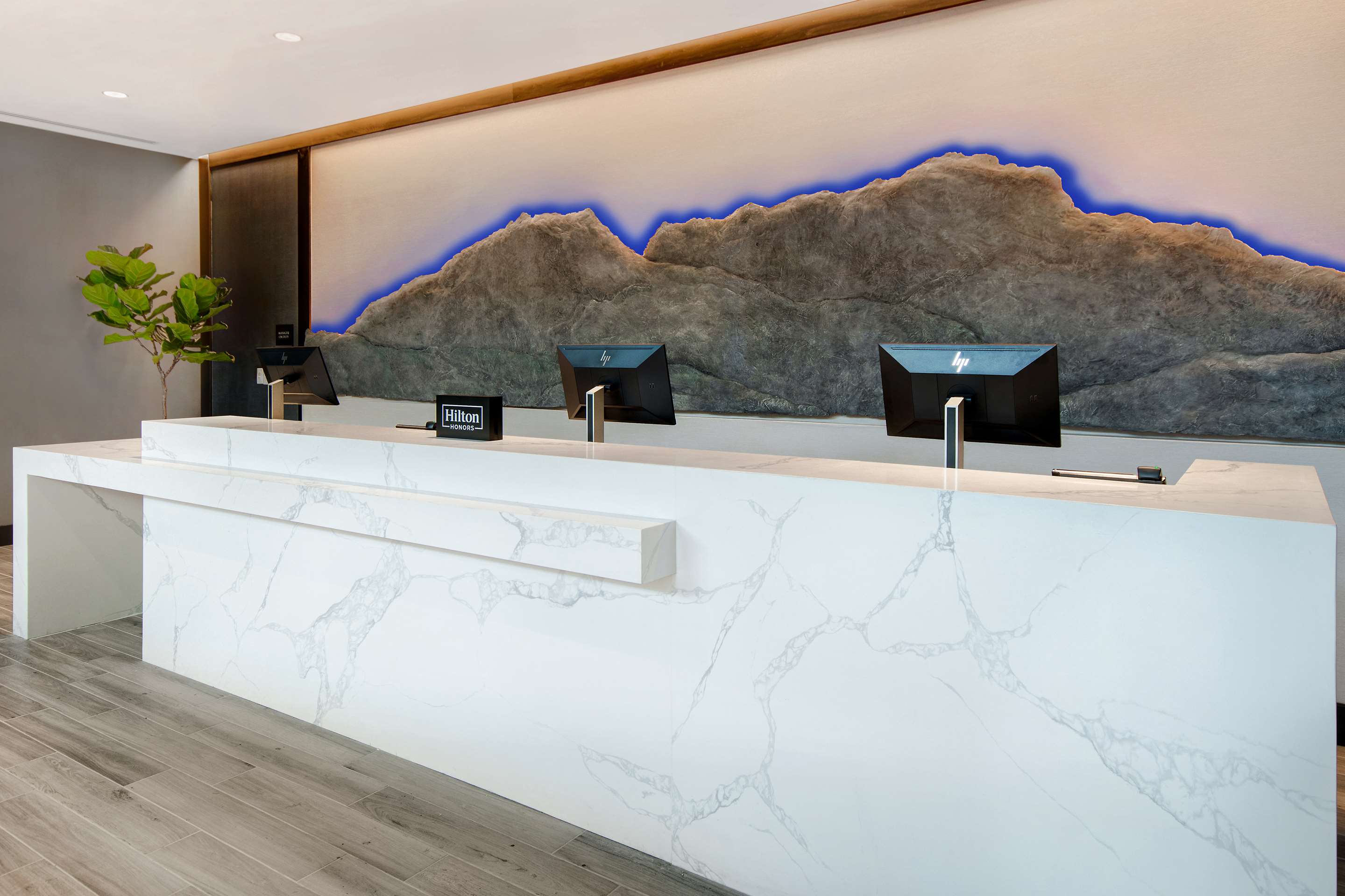 Reception | Embassy Suites By Hilton Alpharetta Halcyon
