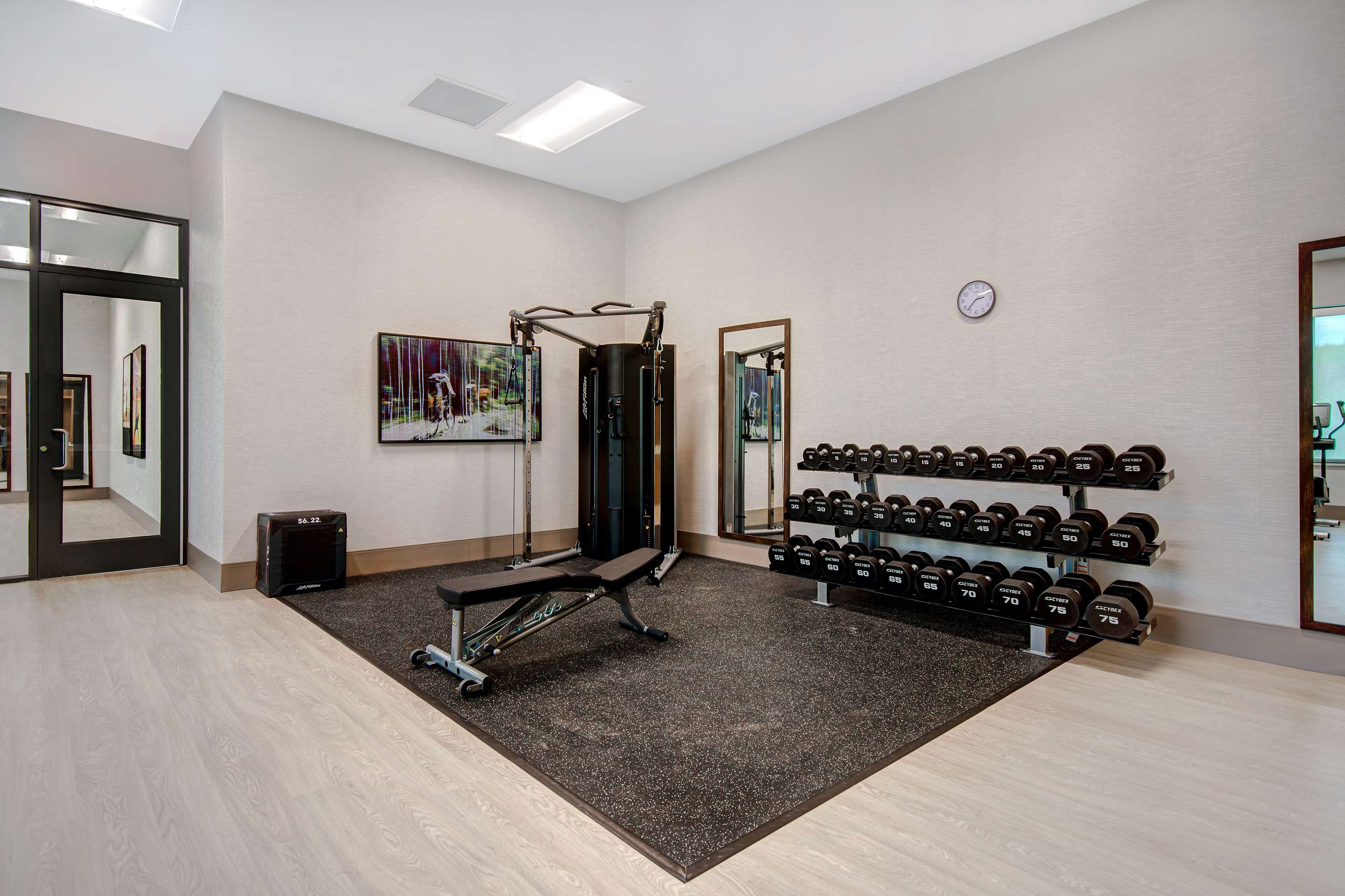 Health club fitness center gym | Embassy Suites By Hilton Alpharetta Halcyon