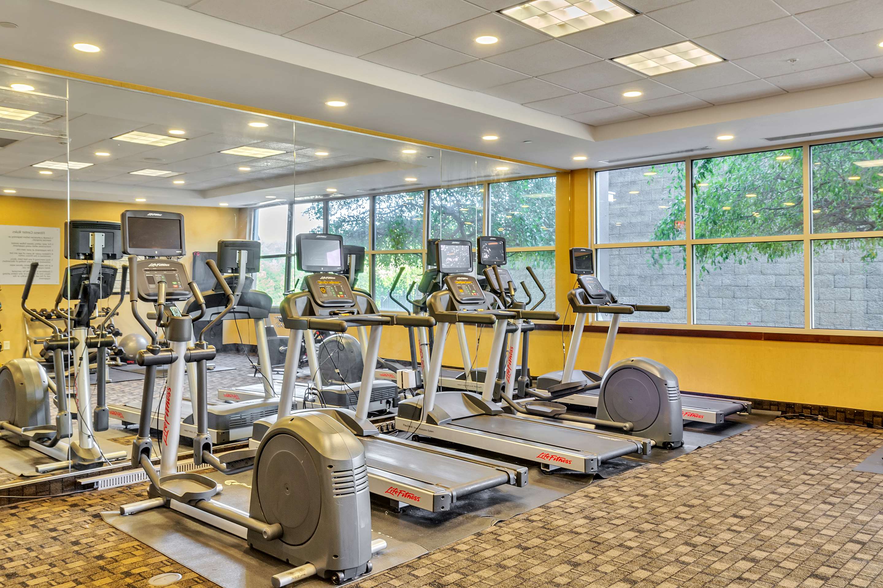 Health club fitness center gym