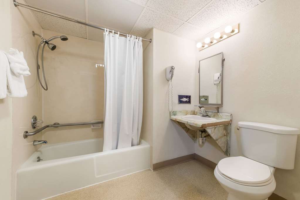 THE WANDER HOTEL, RAMADA-guestroom-Guest Room,Bathroom,On-Site.jpg