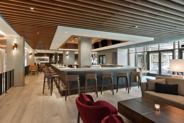 Pool - Hyatt Centric Hotel Santa Clara