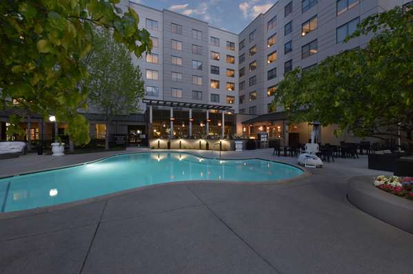 Pool - Hyatt Centric Hotel Santa Clara