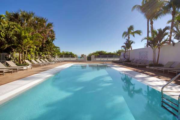Pool - MB Hotel Beachfront Miami Beach