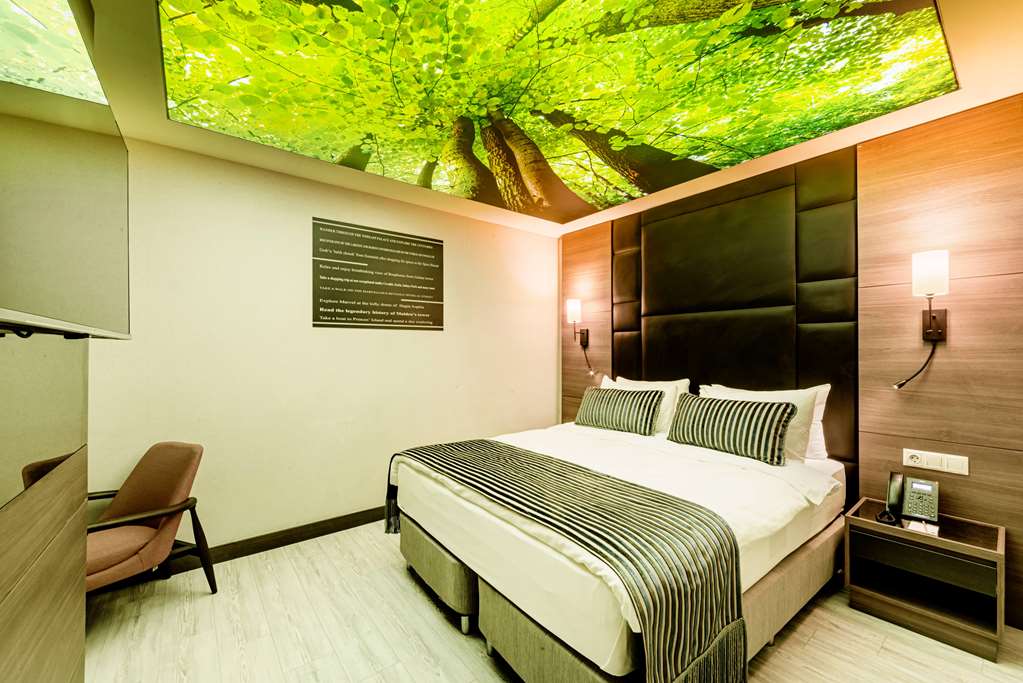 TRYP By Wyndham Istanbul Sisli Hotel Room Type - 1 Queen Bed, Mobility Accessible Room, First Floor, No Window, Non-Smoking TRYP By Wyndham Istanbul Sisli Hotel Room Type - 1 Queen Bed, Mobility Accessible Room, First Floor, No Window, Non-Smoking