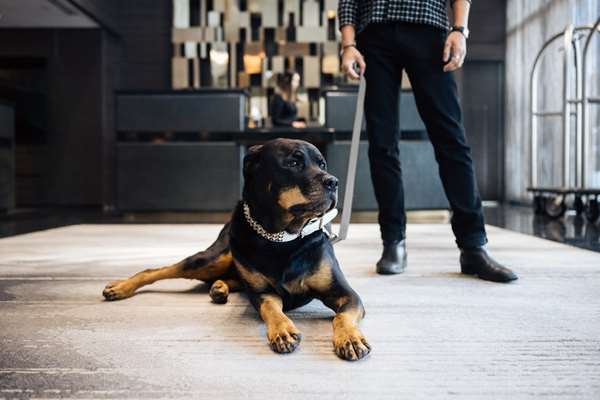  - Paradox Hotel West End Vancouver