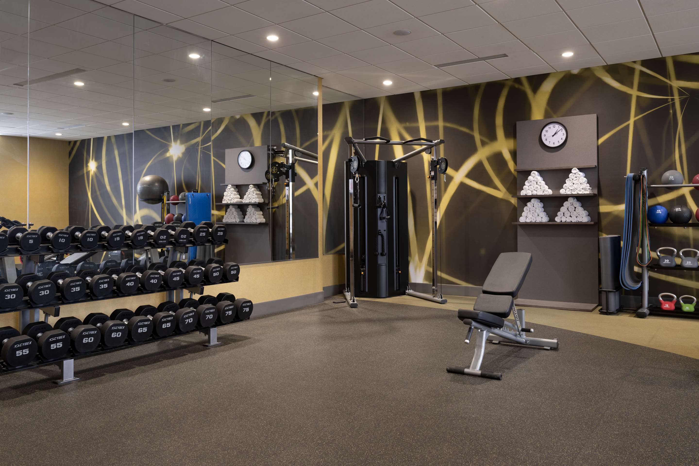 Health club fitness center gym
